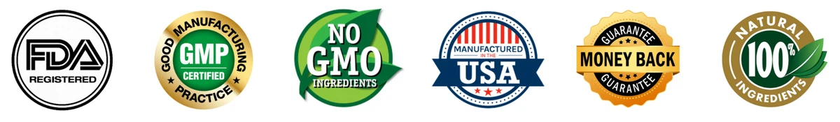 Certified-Java-Brain