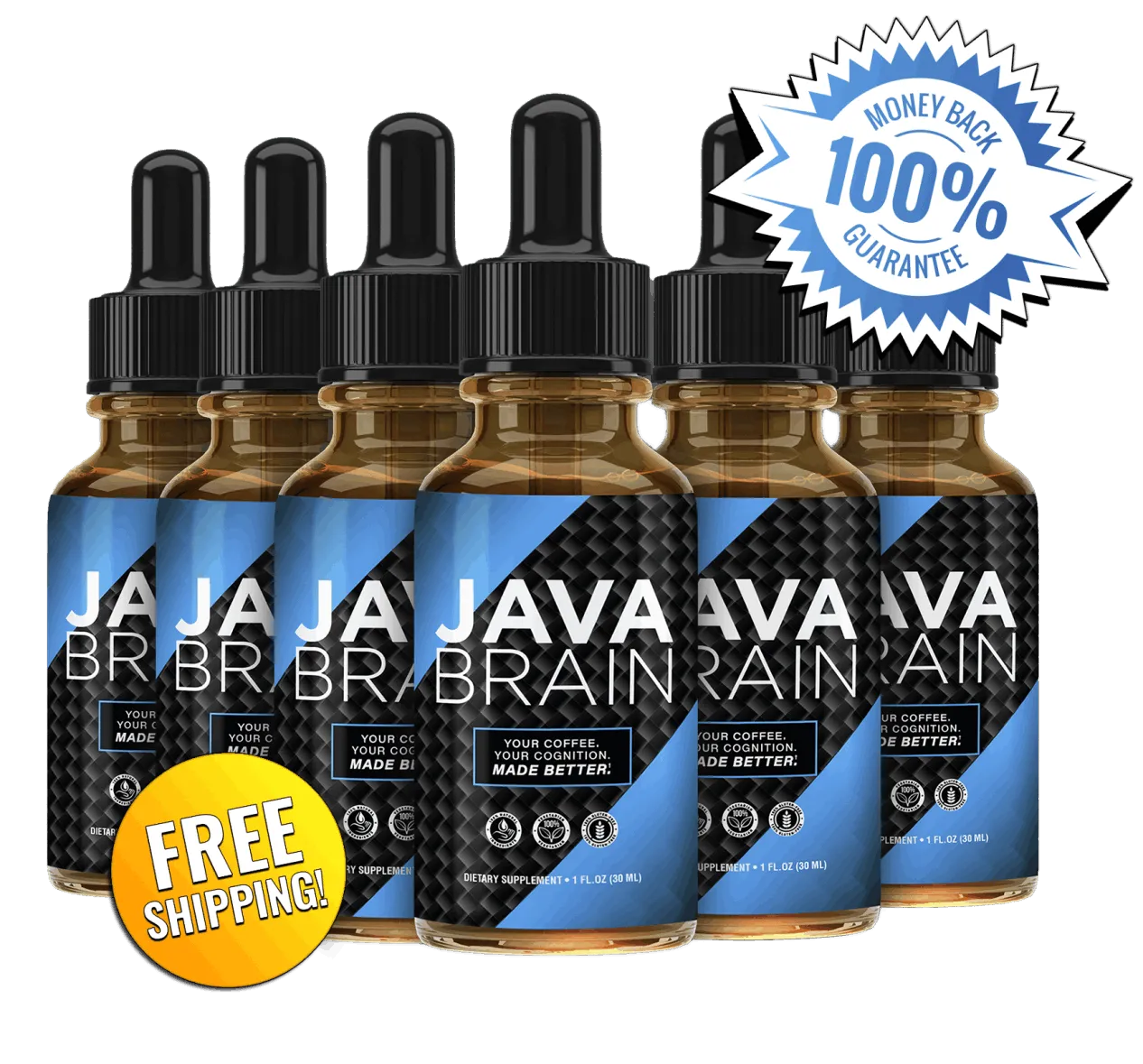 Java-Brain-Discounted-Offer